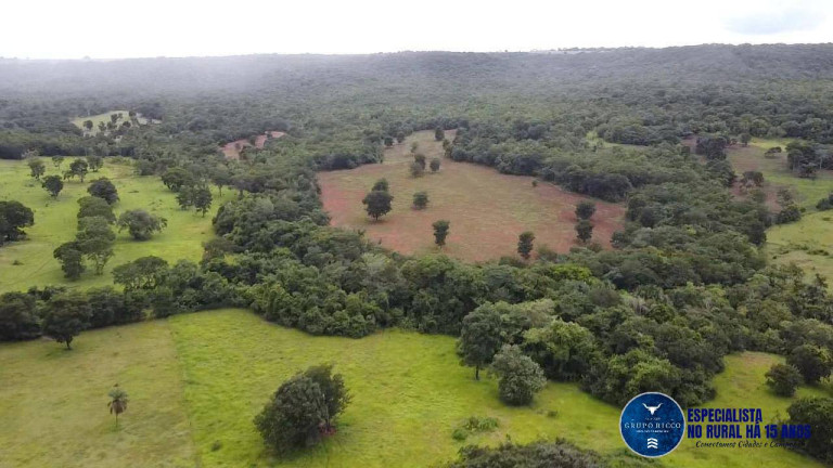 Imagem Fazenda à Venda, 116 m² em Zona Rural - Rio Verde Imagem Fazenda à Venda, 116 m² em Zona Rural - Rio Verde