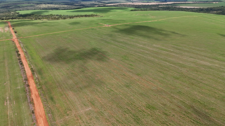 Imagem Fazenda à Venda, 195 m² em Zona Rural - Uberlândia Imagem Fazenda à Venda, 195 m² em Zona Rural - Uberlândia