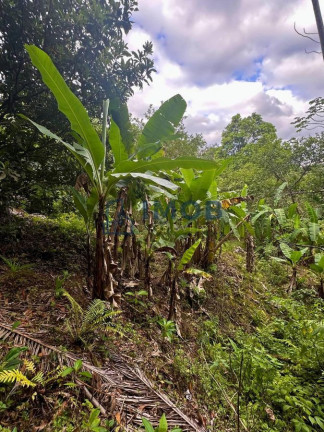 Imagem Chácara à Venda, 92.575 m² em Três Rios Do Norte - Jaraguá Do Sul