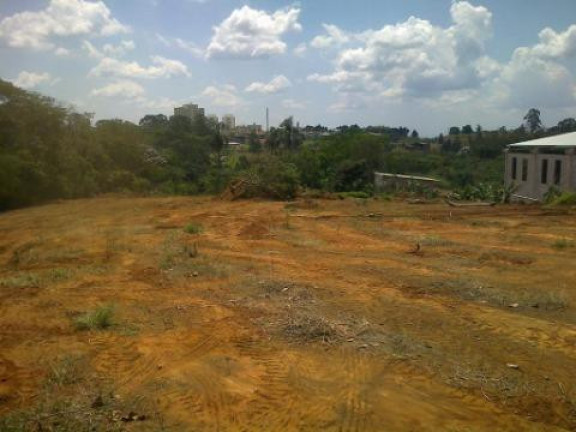 Imagem Casa com 1 Quarto à Venda, 18.000 m² em Laranja Azeda - Arujá