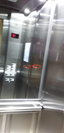 Imagem Apartamento com 2 Quartos à Venda, 57 m² em Parque Paineiras - São Paulo