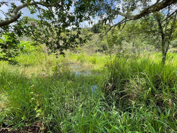 Imagem Chácara com 4 Quartos à Venda, 3 m² em Santa Terezinha De Minas - Itatiaiuçu Imagem Chácara com 4 Quartos à Venda, 3 m² em Santa Terezinha De Minas - Itatiaiuçu