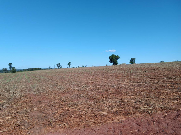 Imagem Chácara à Venda, 29 m² em Rural - Avaré