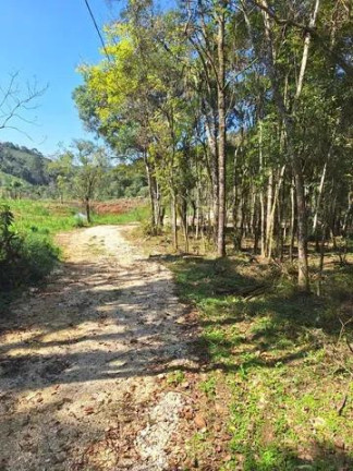 Imagem Imóvel à Venda, 20.000 m² em Santana - Bocaiuva Do Sul Imagem Imóvel à Venda, 20.000 m² em Santana - Bocaiuva Do Sul
