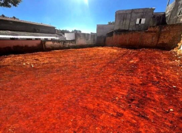 Imagem Terreno à Venda, 369 m² em Salgado Filho - Belo Horizonte Imagem Terreno à Venda, 369 m² em Salgado Filho - Belo Horizonte