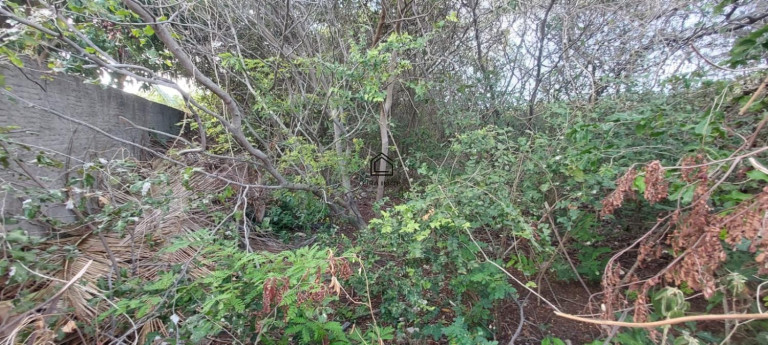 Imagem Terreno à Venda, 450 m² em Povoado Genipabu - Extremoz