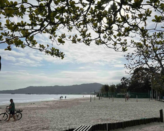 Imagem Imóvel para Alugar,  em Canasvieiras - Florianópolis