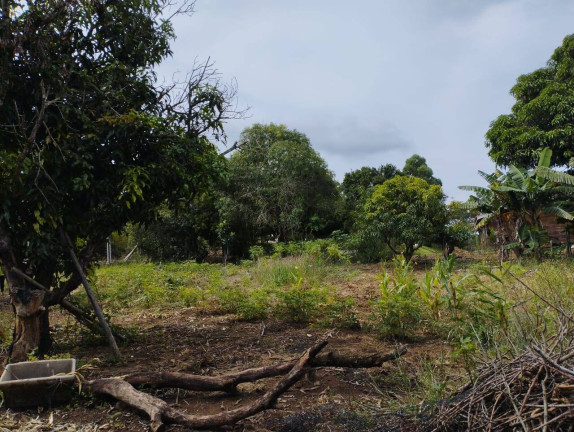Imagem Chácara com 2 Quartos à Venda, 2 m² em Reunidas - Pilar Do Sul Imagem Chácara com 2 Quartos à Venda, 2 m² em Reunidas - Pilar Do Sul