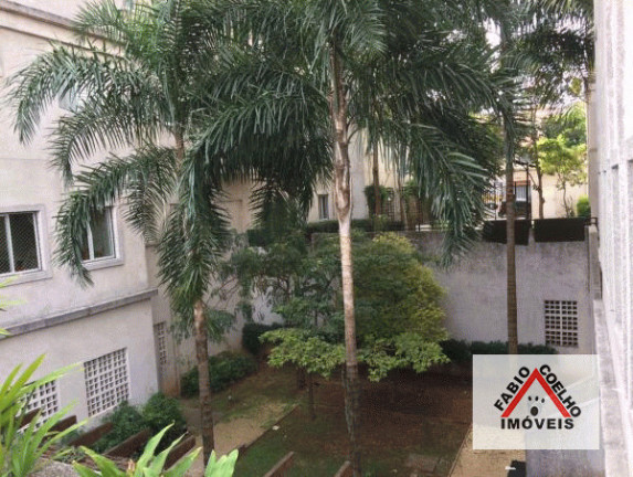 Imagem Apartamento com 3 Quartos à Venda, 74 m² em Jardim Aeroporto - São Paulo Imagem Apartamento com 3 Quartos à Venda, 74 m² em Jardim Aeroporto - São Paulo
