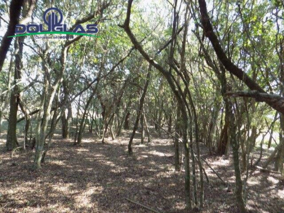 Imagem Chácara à Venda, 20.000 m² em águas Claras - Viamão