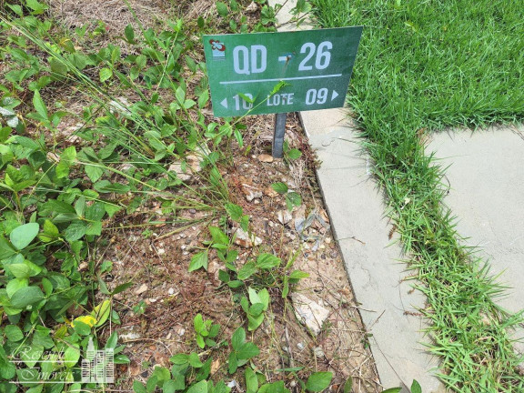 Imagem Terreno à Venda, 240 m² em Bela Vista - Marituba Imagem Terreno à Venda, 240 m² em Bela Vista - Marituba