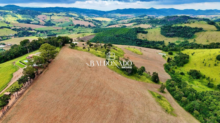 Imagem Terreno à Venda, 493.300 m² em Centro - Toledo Imagem Terreno à Venda, 493.300 m² em Centro - Toledo