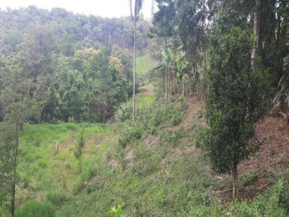 Imagem Terreno à Venda, 5.470 m² em Santa Isabel - Santa Isabel