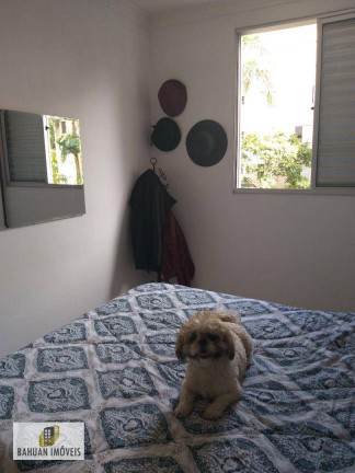 Imagem Apartamento com 3 Quartos à Venda, 76 m² em Paraisópolis - São Paulo
