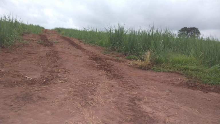 Imagem Fazenda à Venda, 42 m² em Rural - Avaré