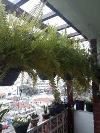 Imagem Apartamento com 3 Quartos à Venda, em Jardim Sao Paulo(zona Norte) - São Paulo Imagem Apartamento com 3 Quartos à Venda, em Jardim Sao Paulo(zona Norte) - São Paulo