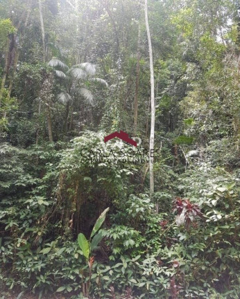 Imagem Terreno à Venda, 2.000 m² em Balneario Praia Do Perequê - Guarujá