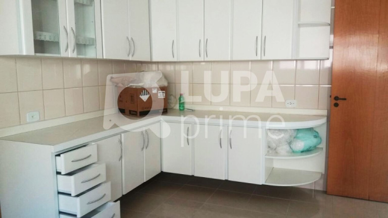 Imagem Apartamento com 3 Quartos à Venda, 110 m² em Vila Paulicéia - São Paulo Imagem Apartamento com 3 Quartos à Venda, 110 m² em Vila Paulicéia - São Paulo