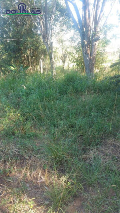 Imagem Casa com 2 Quartos à Venda, em Viamão Imagem Casa com 2 Quartos à Venda, em Viamão