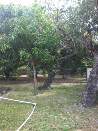 Imagem Imóvel com 4 Quartos à Venda, 4.200 m² em Cágado - Maracanaú Imagem Imóvel com 4 Quartos à Venda, 4.200 m² em Cágado - Maracanaú