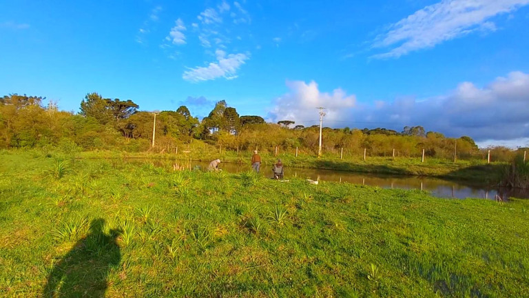 Imagem Imóvel à Venda, 32.800 m² em Ambrósio - Tijucas Do Sul Imagem Imóvel à Venda, 32.800 m² em Ambrósio - Tijucas Do Sul