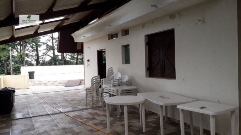 Imagem Chácara com 4 Quartos à Venda, 17.000 m² em Alto Da Serra - São Roque Imagem Chácara com 4 Quartos à Venda, 17.000 m² em Alto Da Serra - São Roque