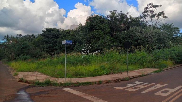 Imagem Terreno à Venda, 478 m² em Vila Morumbi - Campo Grande Imagem Terreno à Venda, 478 m² em Vila Morumbi - Campo Grande