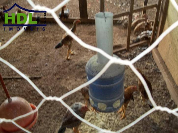 Imagem Chácara com 10 Quartos à Venda, 7 m² em Zona Rural - Hidrolândia Imagem Chácara com 10 Quartos à Venda, 7 m² em Zona Rural - Hidrolândia