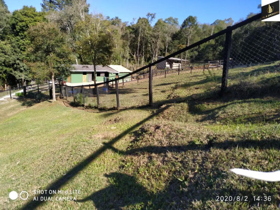 Imagem Imóvel com 3 Quartos à Venda, 16.200 m² em Zona Rural - Quatro Barras Imagem Imóvel com 3 Quartos à Venda, 16.200 m² em Zona Rural - Quatro Barras