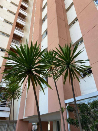 Imagem Apartamento com 2 Quartos à Venda, 52 m² em Casa Branca - Santo André Imagem Apartamento com 2 Quartos à Venda, 52 m² em Casa Branca - Santo André