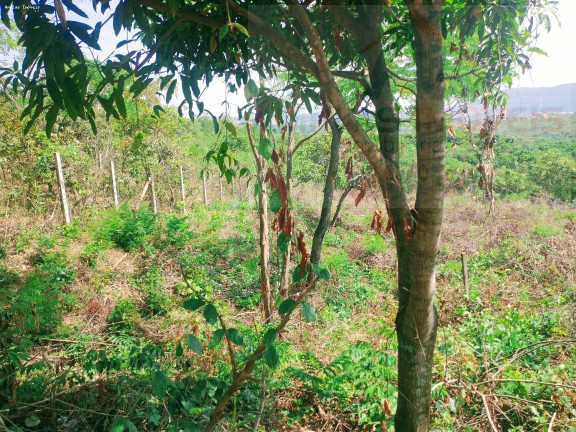 Imagem Chácara à Venda, 2.000 m² em Mateus Leme