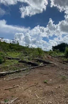 Imagem Chácara à Venda, 60.000 m² em Mato Queimado - Gramado Imagem Chácara à Venda, 60.000 m² em Mato Queimado - Gramado