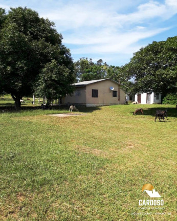 Imagem Imóvel com 8 Quartos à Venda, 13.000 m² em águas Claras - Viamão