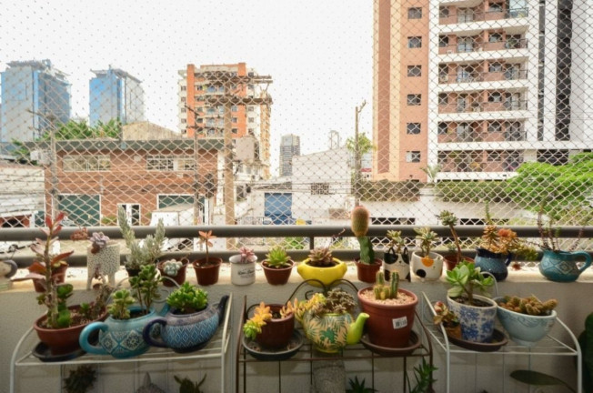 Imagem Apartamento com 2 Quartos à Venda, 54 m² em Chácara Santo Antônio (zona Sul) - São Paulo Imagem Apartamento com 2 Quartos à Venda, 54 m² em Chácara Santo Antônio (zona Sul) - São Paulo