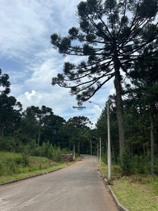 Imagem Terreno à Venda, 609 m² em Loteamento Marsal - Canela Imagem Terreno à Venda, 609 m² em Loteamento Marsal - Canela
