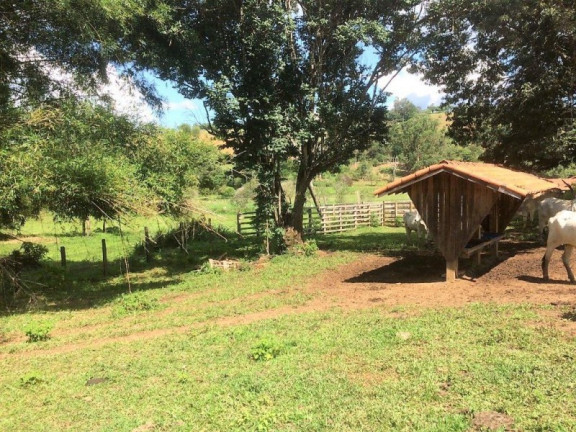 Imagem Imóvel com 3 Quartos à Venda, 448.000 m² em Roseta - Cambuí