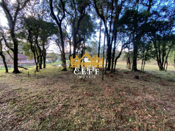 Imagem Imóvel à Venda, 20 m² em Serra Grande - Igrejinha Imagem Imóvel à Venda, 20 m² em Serra Grande - Igrejinha