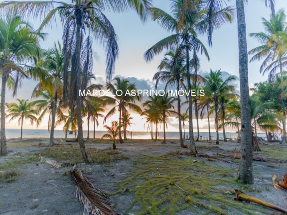 Imagem Imóvel à Venda, em Ilha De Contrato - Igrapiúna Imagem Imóvel à Venda, em Ilha De Contrato - Igrapiúna