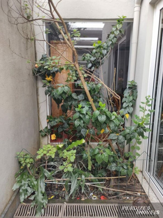 Imagem Casa com 3 Quartos à Venda, 180 m² em Alto Da Lapa - São Paulo Imagem Casa com 3 Quartos à Venda, 180 m² em Alto Da Lapa - São Paulo