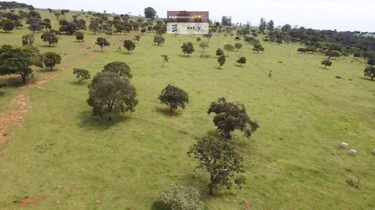 Imagem Fazenda à Venda, 22 m² em Zona Rural - Bela Vista De Goiás Imagem Fazenda à Venda, 22 m² em Zona Rural - Bela Vista De Goiás
