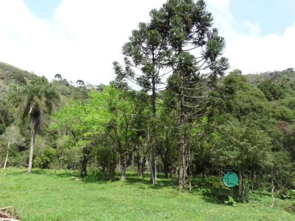 Imagem Imóvel à Venda, 120.000 m² em Zona Rural - Alfredo Wagner Imagem Imóvel à Venda, 120.000 m² em Zona Rural - Alfredo Wagner
