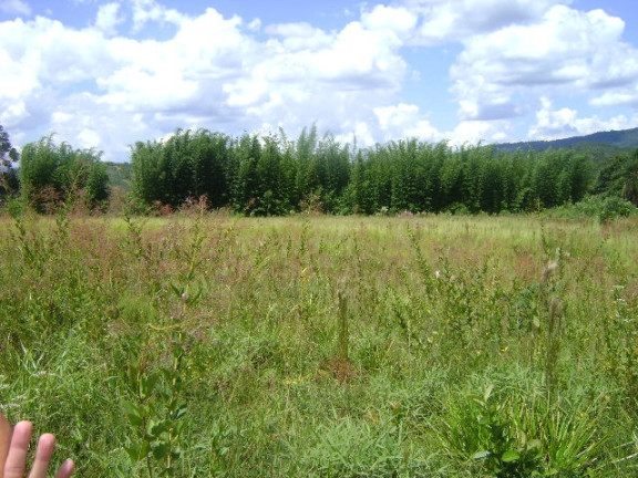 Imagem Terreno à Venda, 15.700 m² em Acesso Para Carretas - Mairiporã
