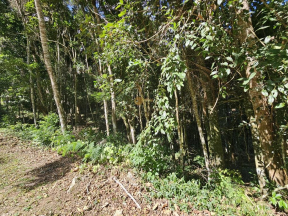 Imagem Terreno à Venda, 5.000 m² em Green Valleiy - Teresópolis Imagem Terreno à Venda, 5.000 m² em Green Valleiy - Teresópolis