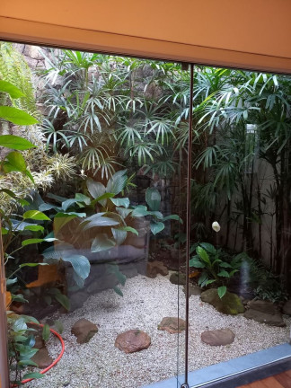 Imagem Casa com 3 Quartos à Venda, 325 m² em Vila Monumento - Sp Imagem Casa com 3 Quartos à Venda, 325 m² em Vila Monumento - Sp