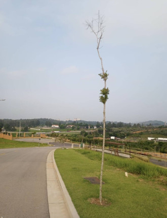 Imagem Imóvel à Venda, 7.200.000 m² em São Paulo - Jundiaí Imagem Imóvel à Venda, 7.200.000 m² em São Paulo - Jundiaí