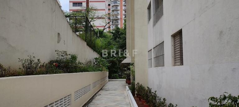 Imagem Apartamento com 2 Quartos para Alugar, 50 m² em Vila Mascote - São Paulo Imagem Apartamento com 2 Quartos para Alugar, 50 m² em Vila Mascote - São Paulo