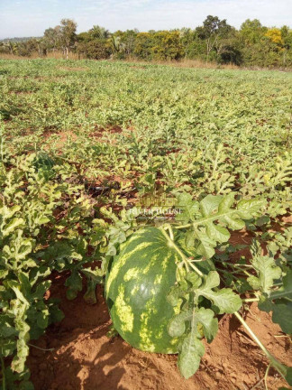 Imagem Fazenda à Venda, 1.500.000.000 m² em Zona Rural - Chapada Dos Guimarães Imagem Fazenda à Venda, 1.500.000.000 m² em Zona Rural - Chapada Dos Guimarães