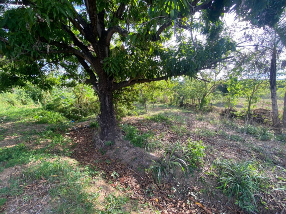 Imagem Imóvel à Venda, em Barcelona Park - Montes Claros Imagem Imóvel à Venda, em Barcelona Park - Montes Claros