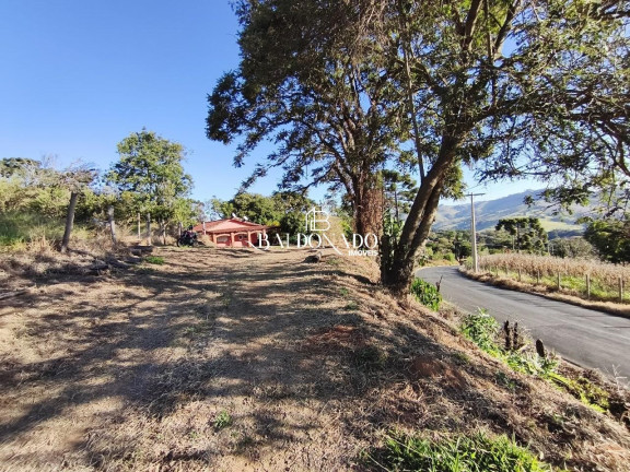 Imagem Imóvel com 3 Quartos à Venda, 18.000 m² em Centro - Munhoz Imagem Imóvel com 3 Quartos à Venda, 18.000 m² em Centro - Munhoz