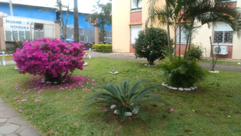 Imagem Apartamento com 1 Quarto à Venda, 38 m² em São Sebastião - Porto Alegre Imagem Apartamento com 1 Quarto à Venda, 38 m² em São Sebastião - Porto Alegre